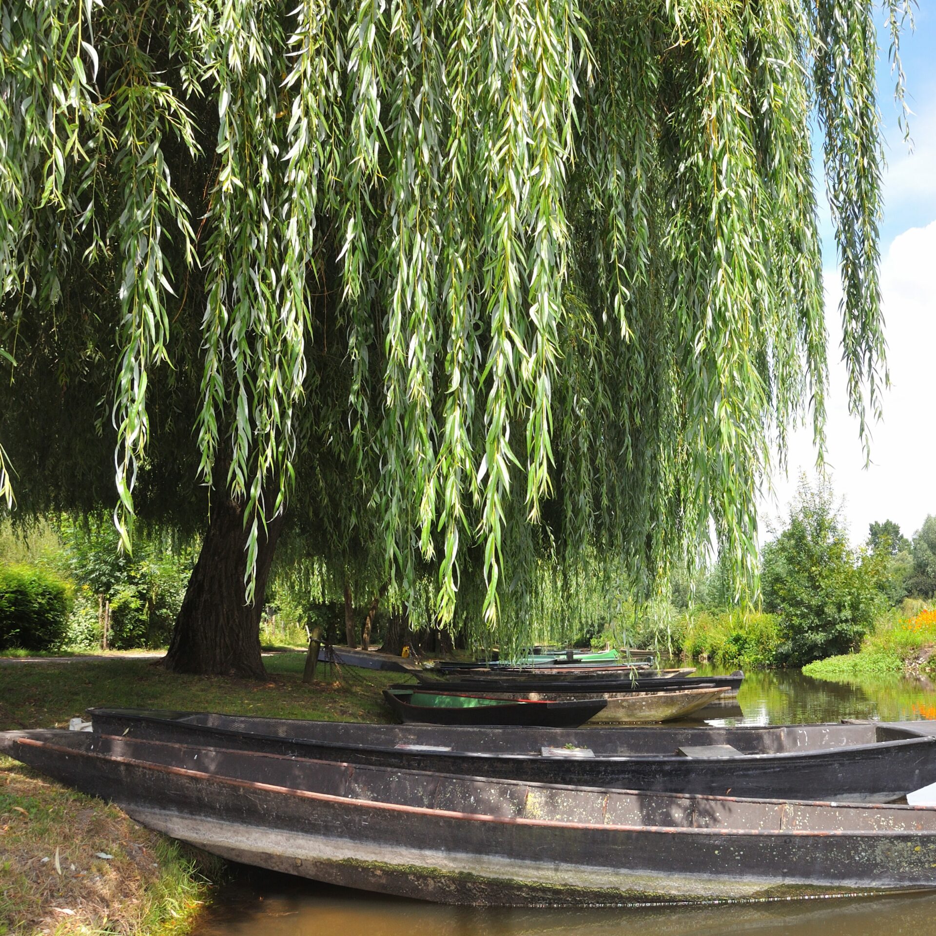 L'Audomarois - N Horizons