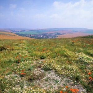 Les 7 Vallées - N Horizons