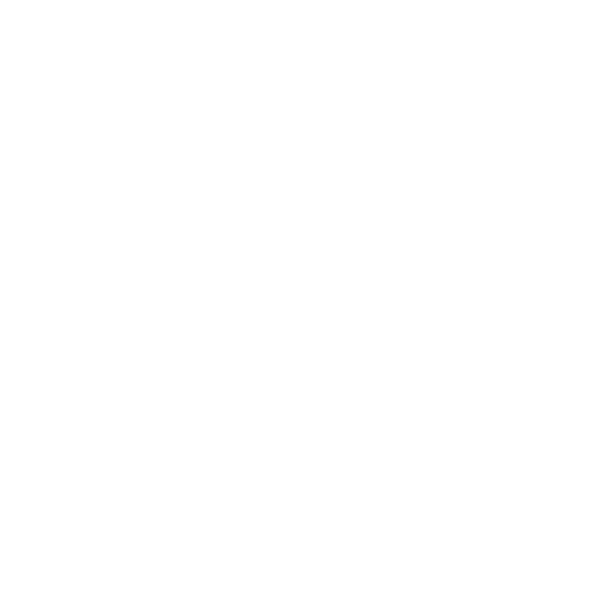 Mini-Bus - N Horizons