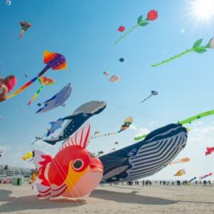 Cerfs-Volants Berck sur Mer