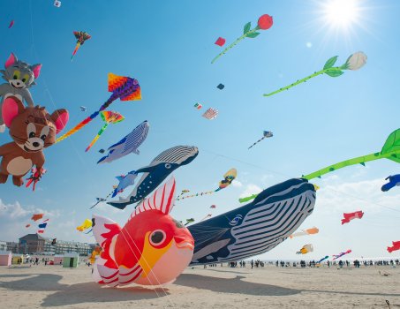 Cerfs-Volants Berck sur Mer